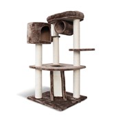 arbre a chat jardinerie